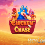 Cara Main Hingga Menang Di Game Chicken Chase